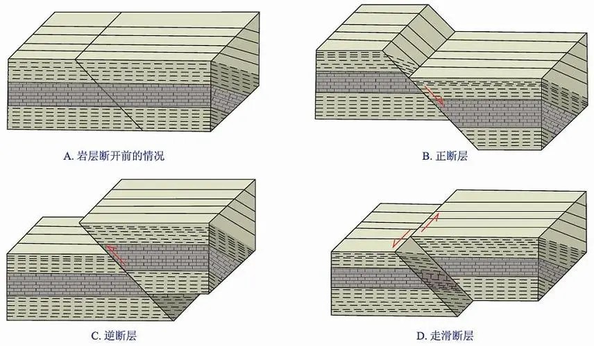 4种断层.jpg